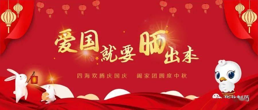 萌犬记忆卡