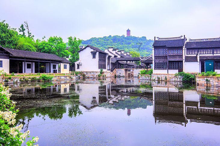 把20只螃蟹的蟹黄掏出来，做了一道秃黄油，满满的蟹黄拌饭太爽游戏画面
